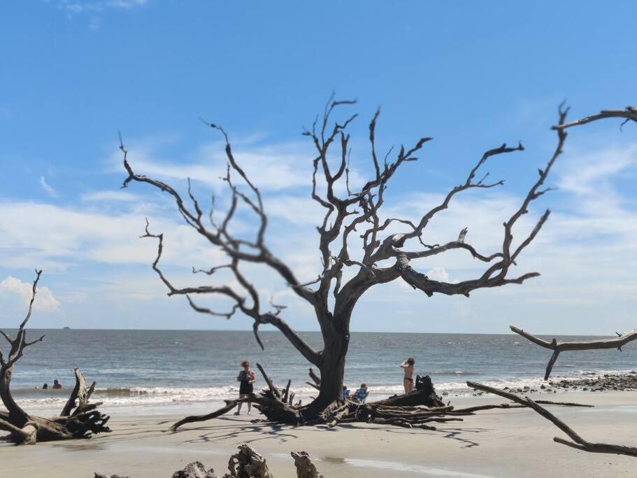 Jekyll Island House/ Kellys On The Coast /King Bed Villa Buitenkant foto